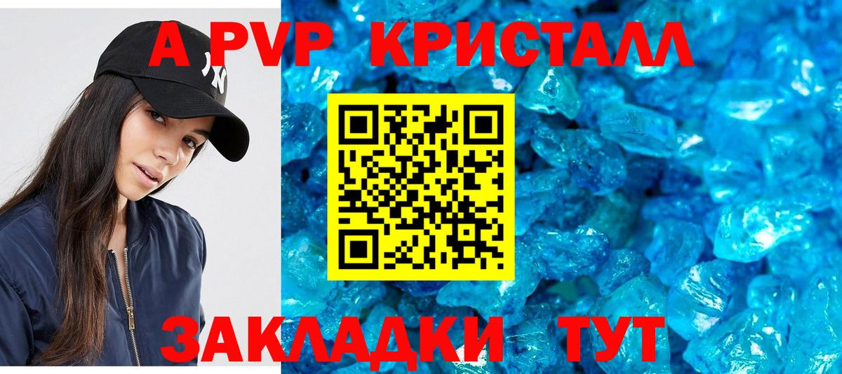 A PVP СК КРИС Новоалександровск