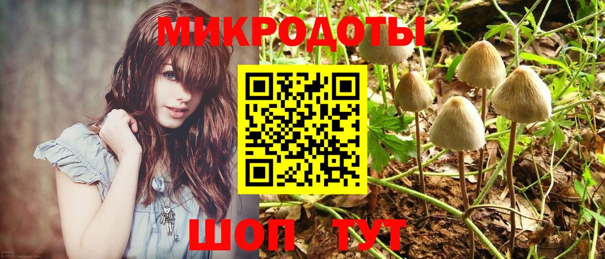 Новоалександровск  Галлюциногенные грибы Cubensis  Вход с VPN 